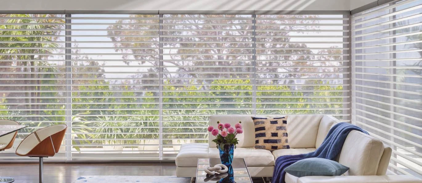 Silhouette clear view